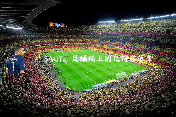SAOT：足球场上的几何学革命